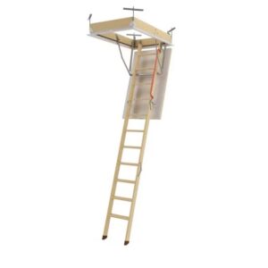 LWZ Plus Ladder